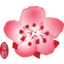 China Airlines logo