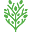 Almoosa Health Company logo