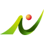 NSD Co., Ltd. logo