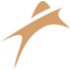 Amneal Pharmaceuticals logo