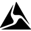 Axon Enterprise logo