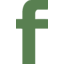 Fabrinet logo
