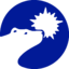 Polar Power logo