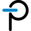 Power Integrations logo