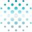 Rare Earths Americas logo