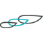 Spruce Biosciences logo