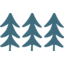TWFG, Inc. logo