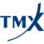 TMX Group logo
